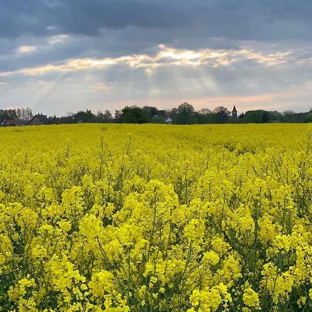 Ferien-villa Viva La Vida 別荘