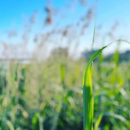 別荘 Ferien-villa Viva La Vida *